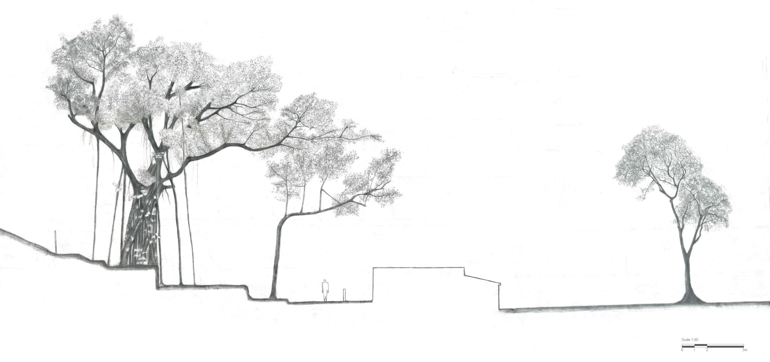 Plants & Planting