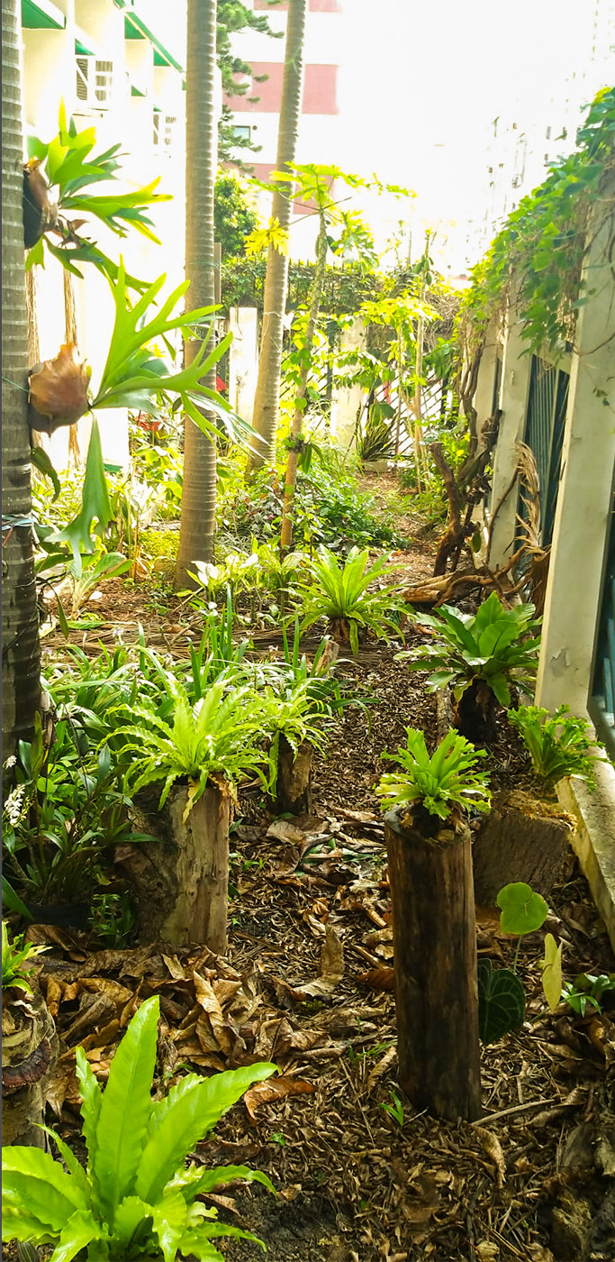 Garden Design Project