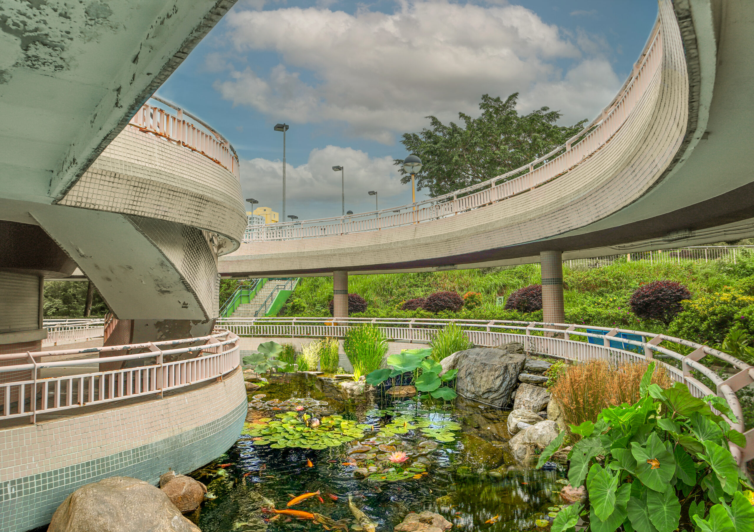 Ecology and Sustainability